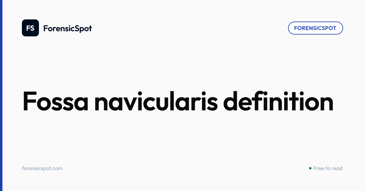 Fossa navicularis definition | ForensicSpot
