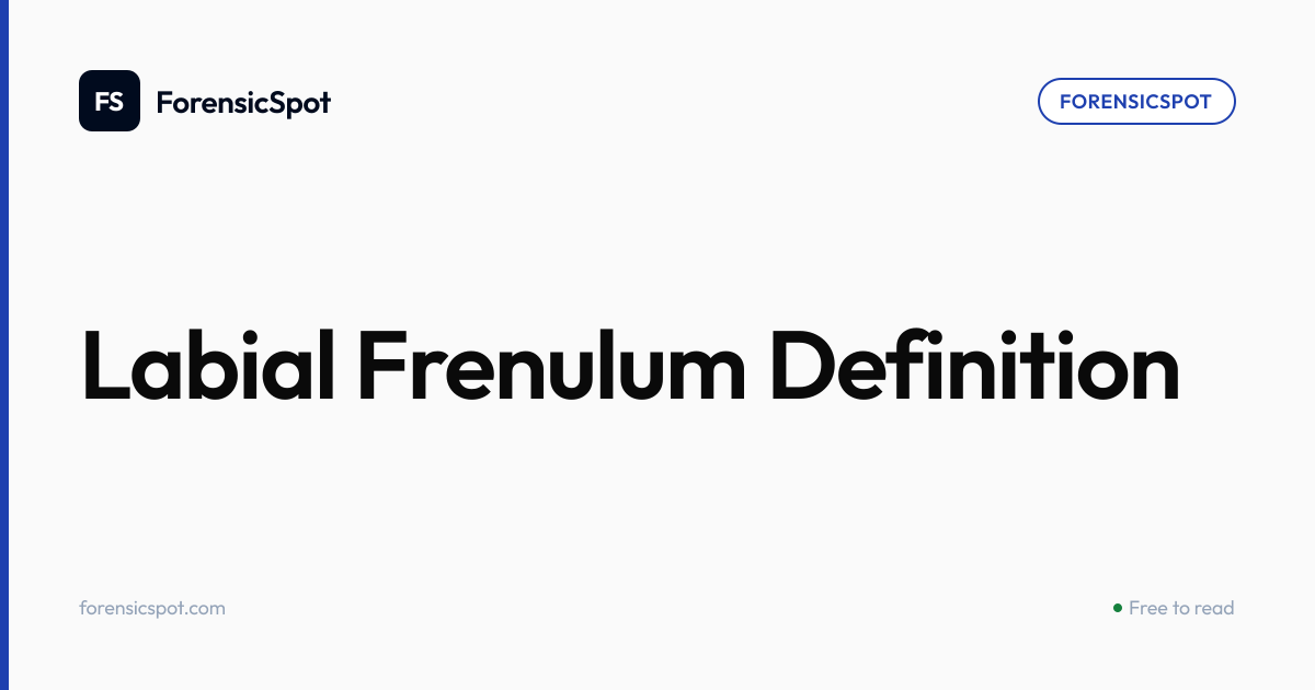 Labial Frenulum Definition | ForensicSpot