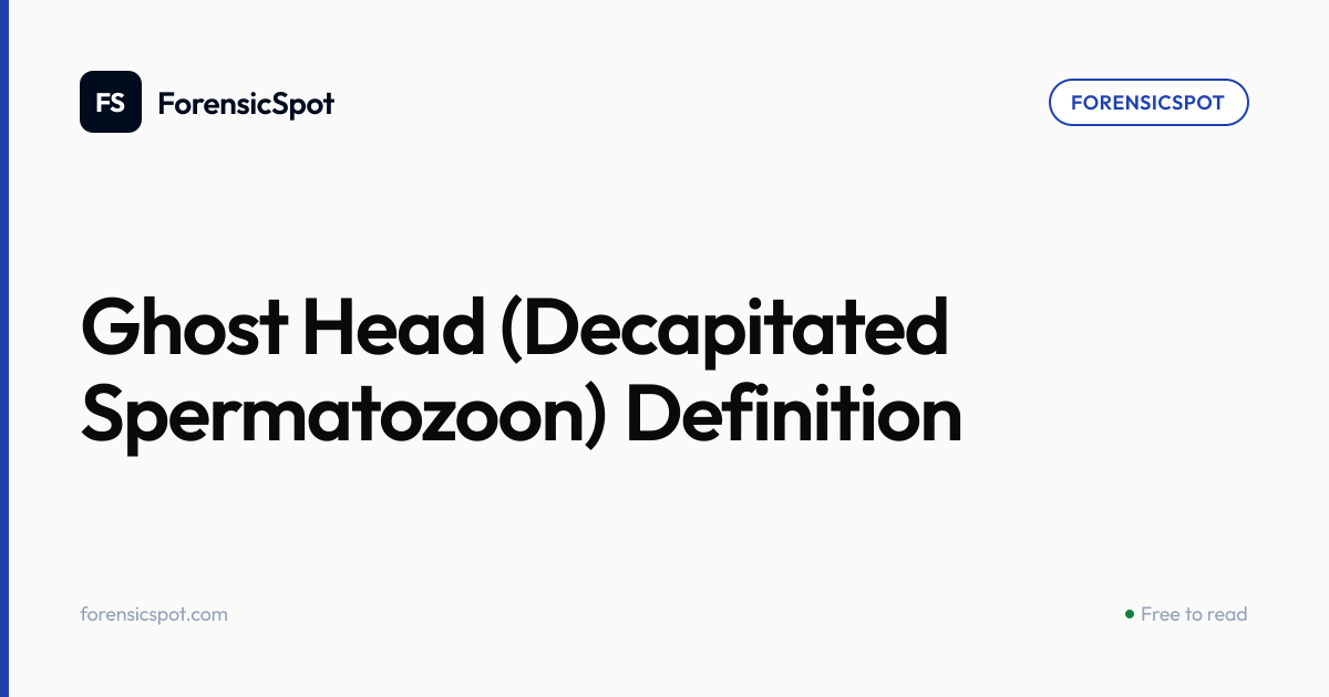 Ghost Head (Decapitated Spermatozoon) Definition | ForensicSpot