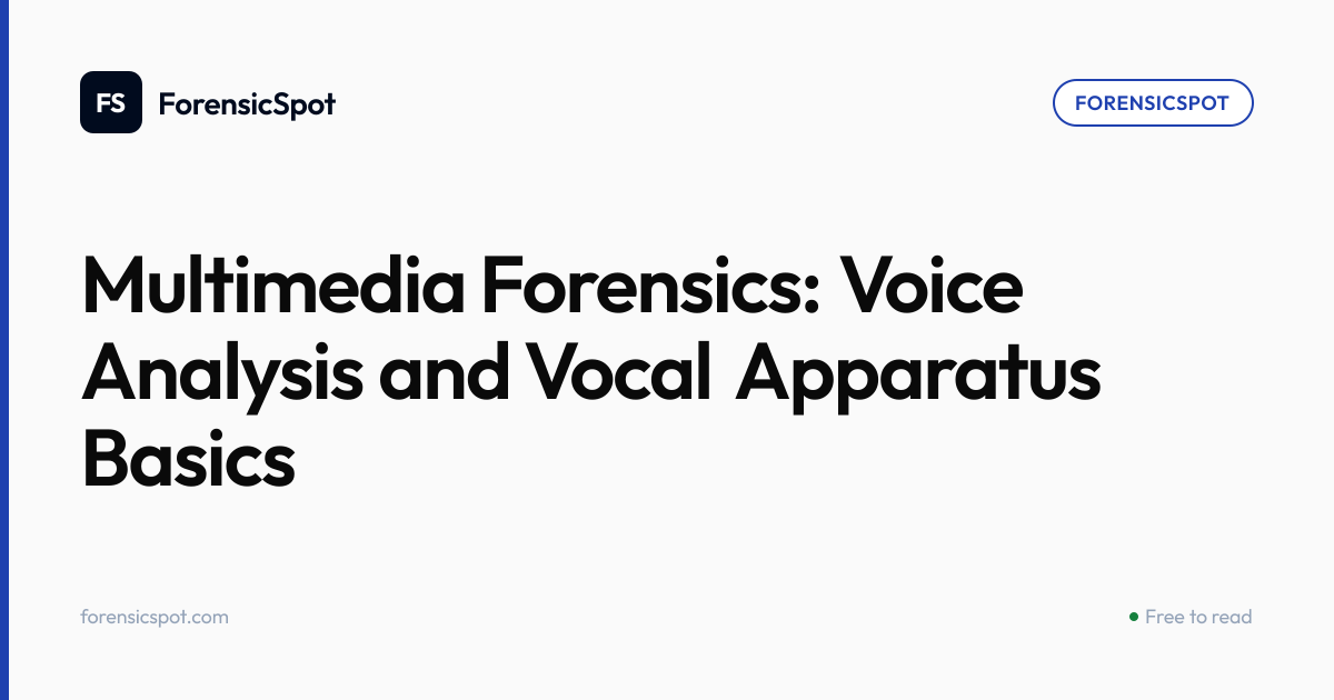Multimedia Forensics: Voice Analysis and Vocal Apparatus Basics ...